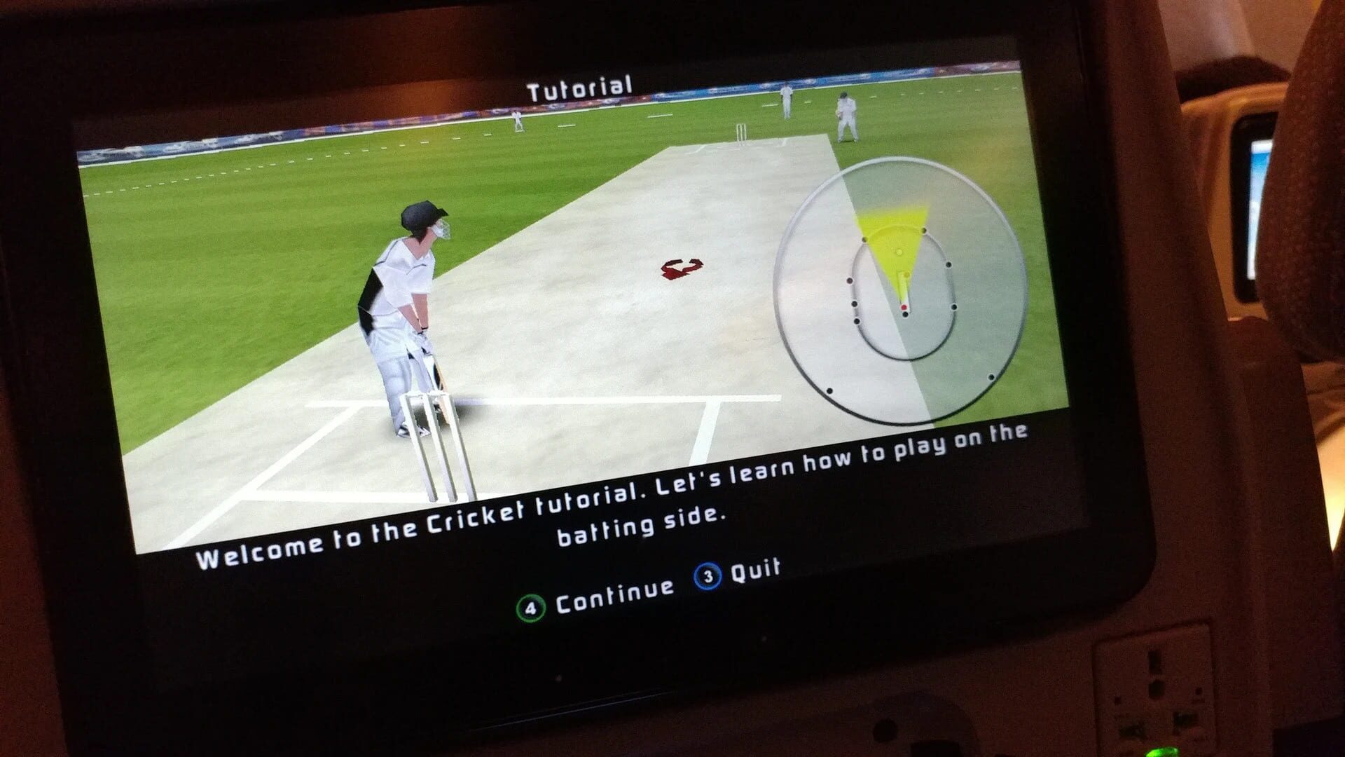 3D Cricket - Screenshot