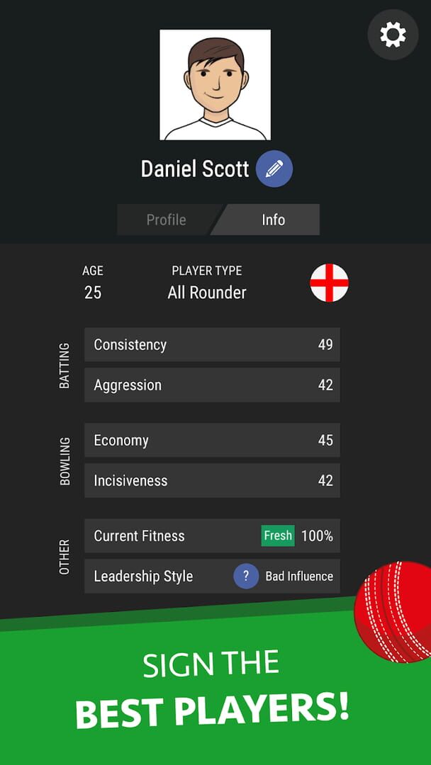 Wicket Cricket Manager - Screenshot