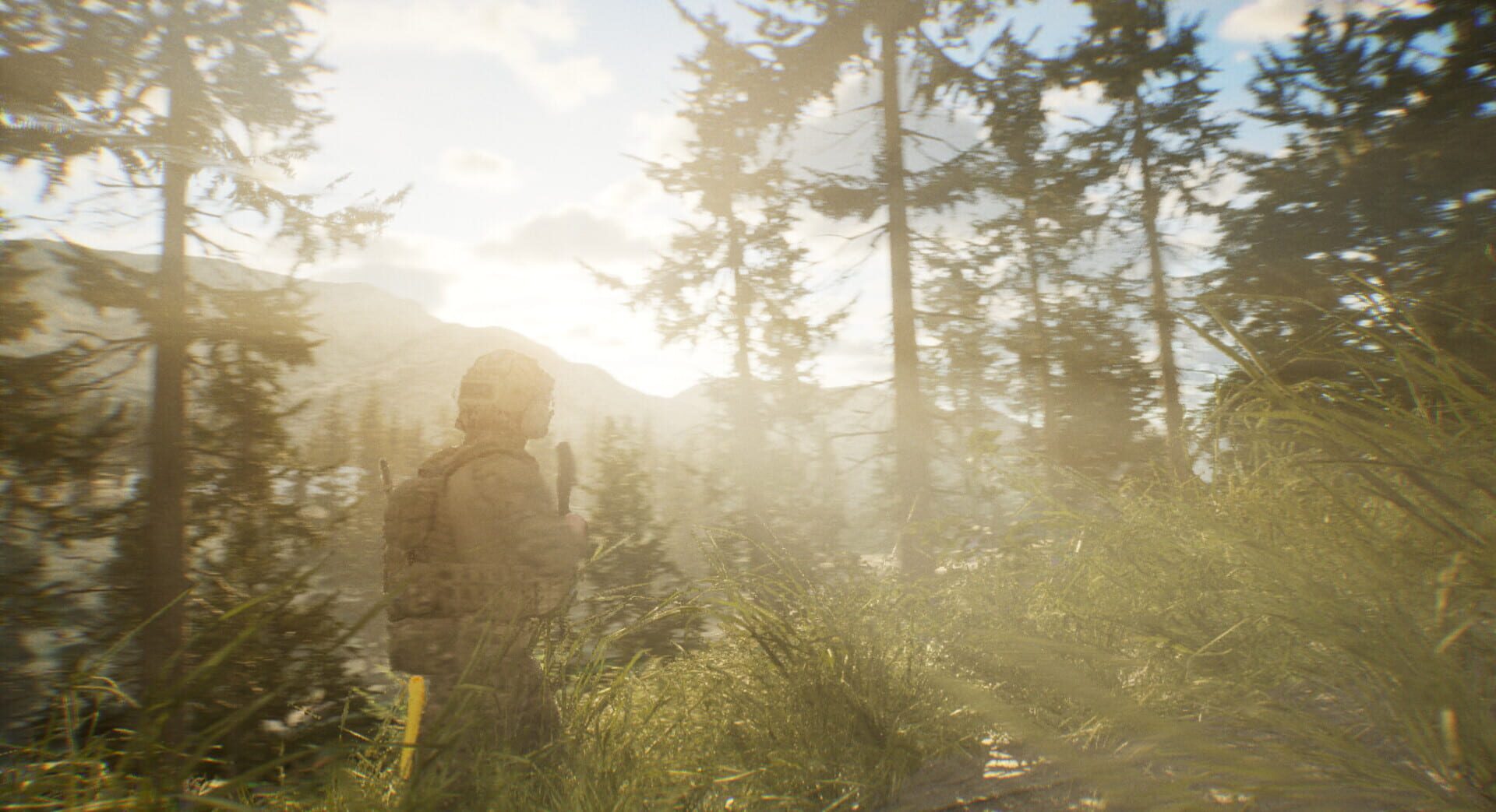 TWS: Training and War Simulation - Screenshot
