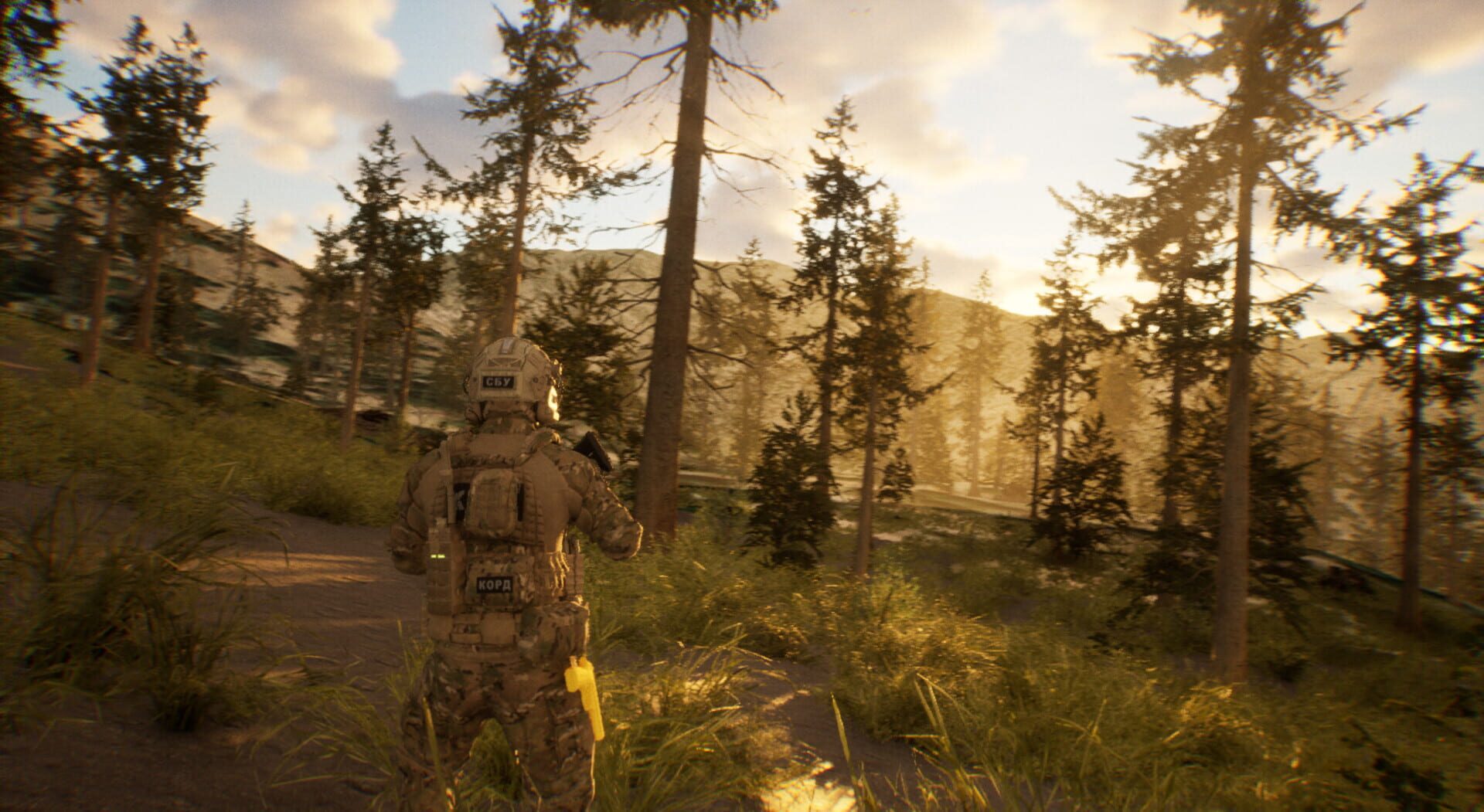 TWS: Training and War Simulation - Screenshot