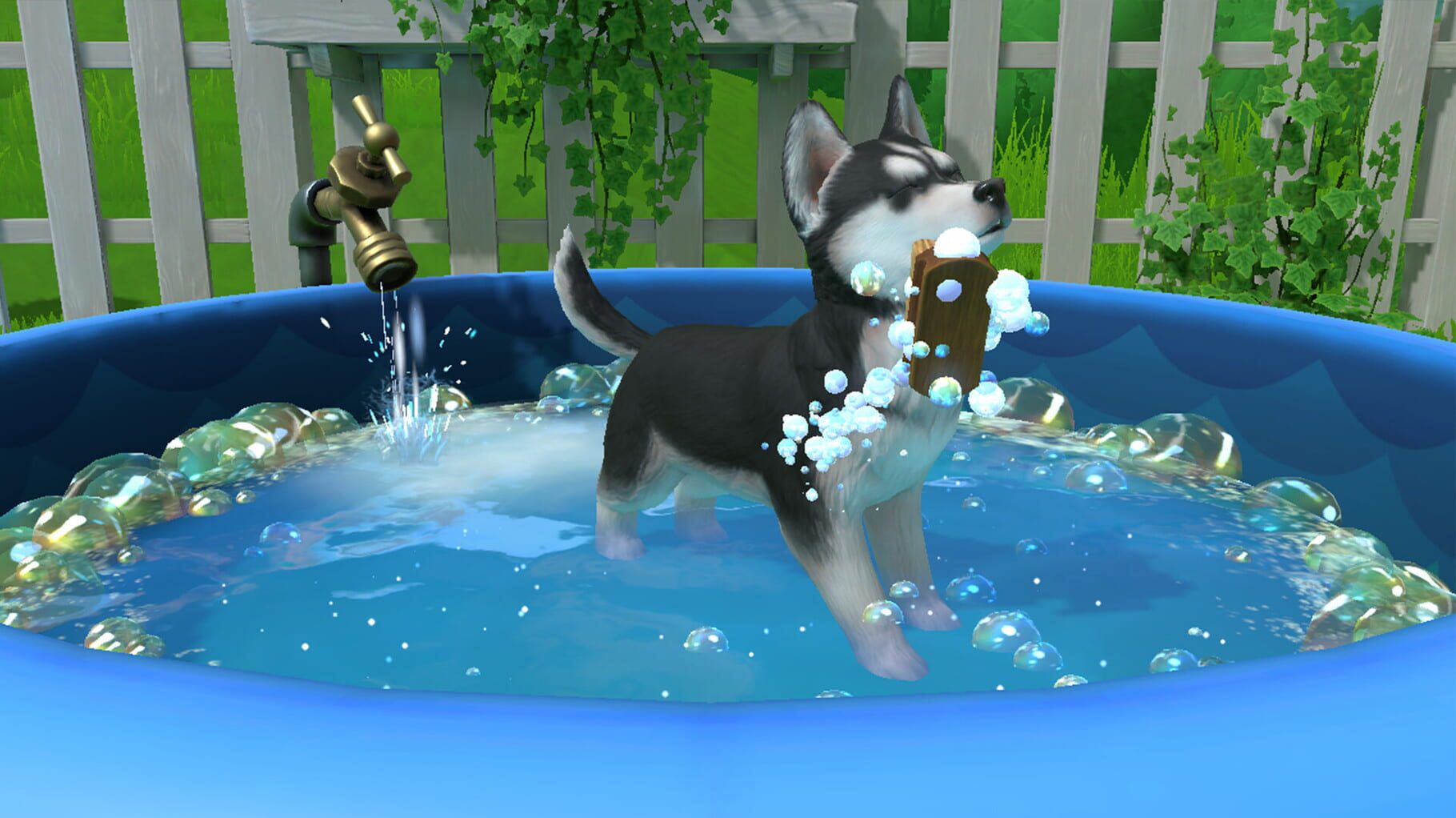 Little Friends: Puppy Island screenshot