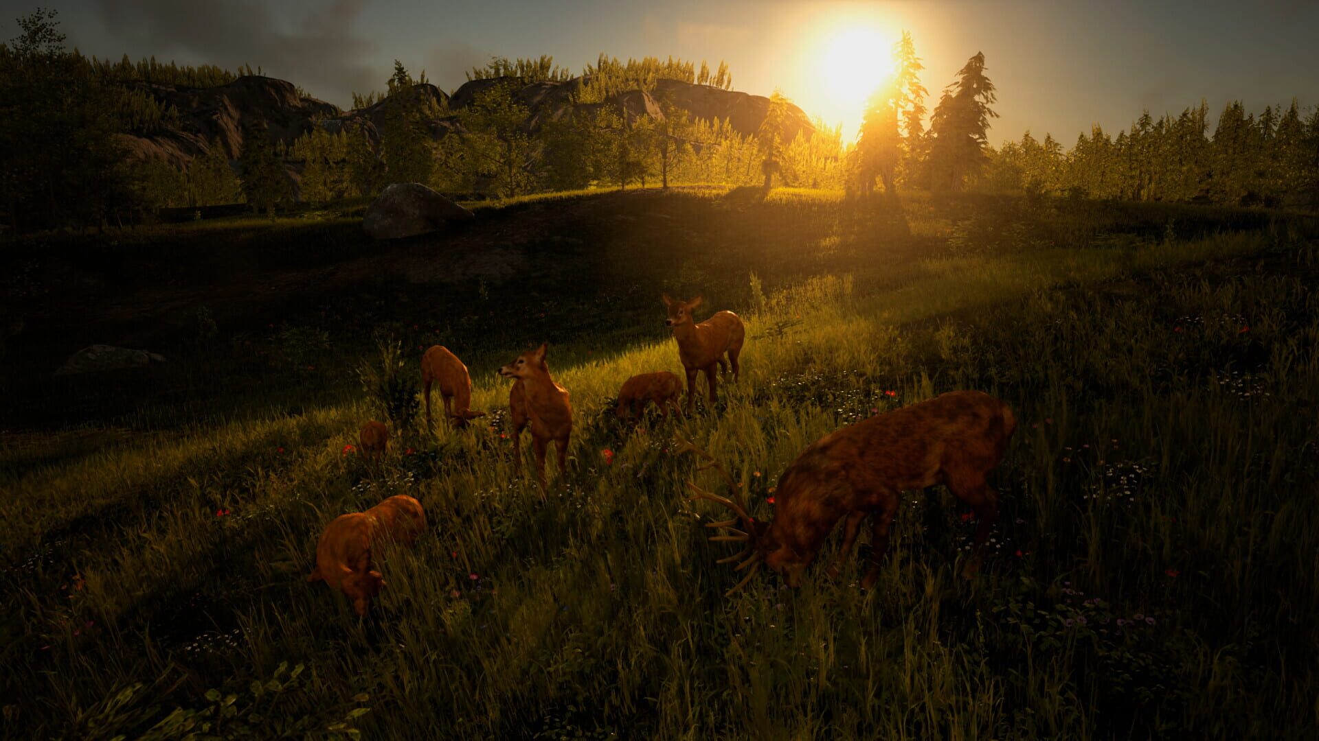 Glory or Dominance: The World of Kleiverog - Screenshot