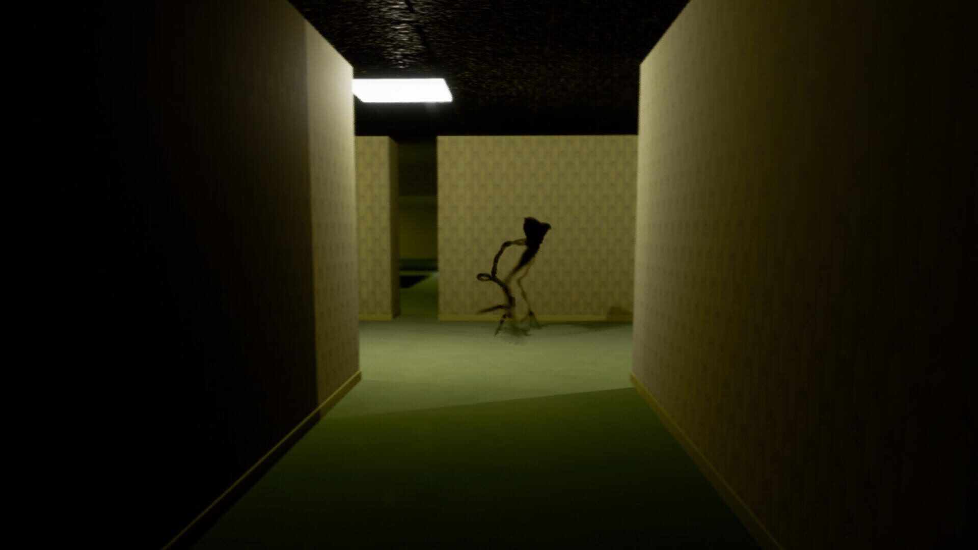 Backrooms Project: The Lost File - Screenshot