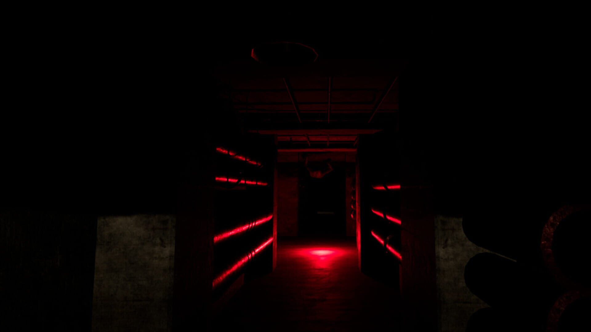 Backrooms Project: The Lost File - Screenshot