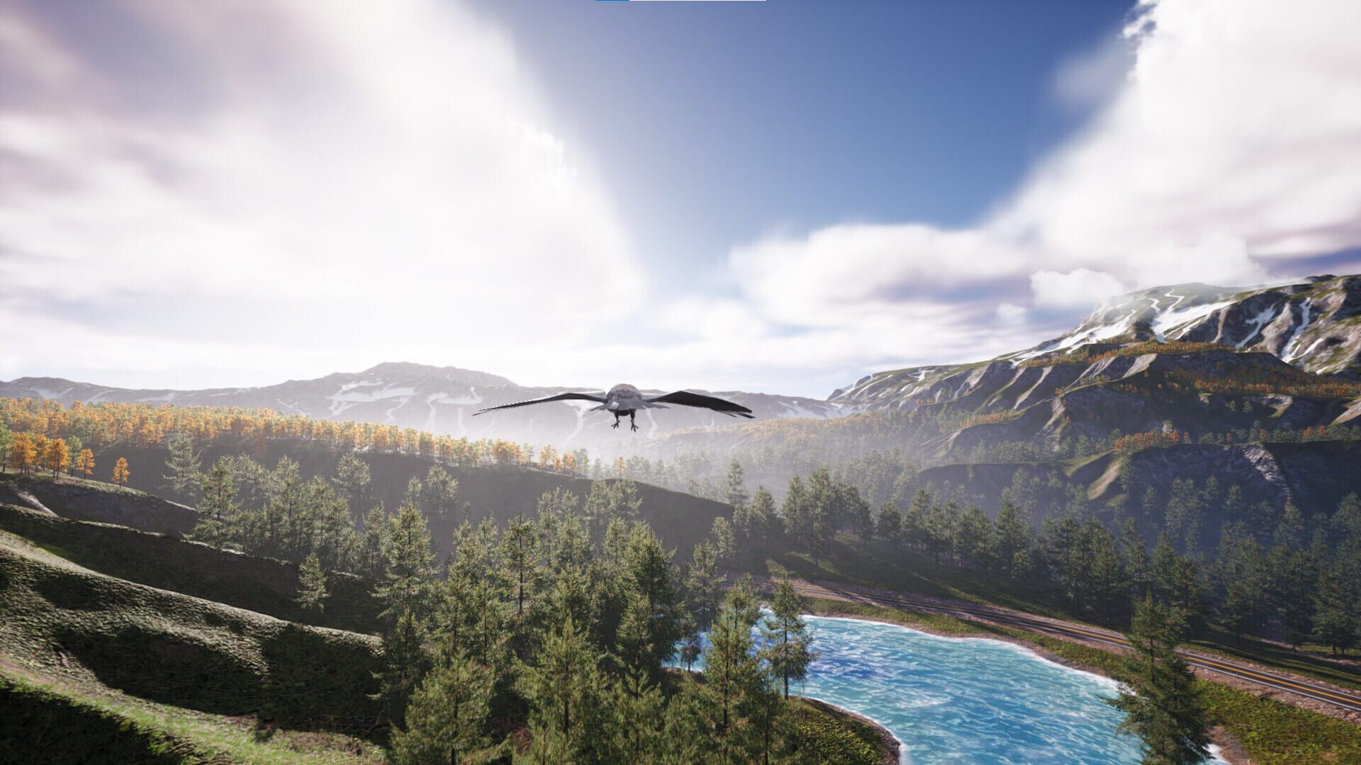 Bird's Eye Odyssey - Screenshot