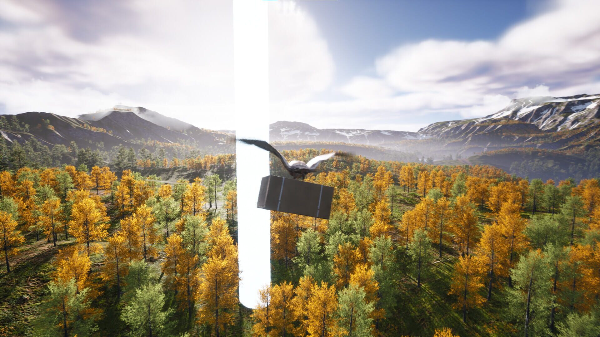 Bird's Eye Odyssey - Screenshot