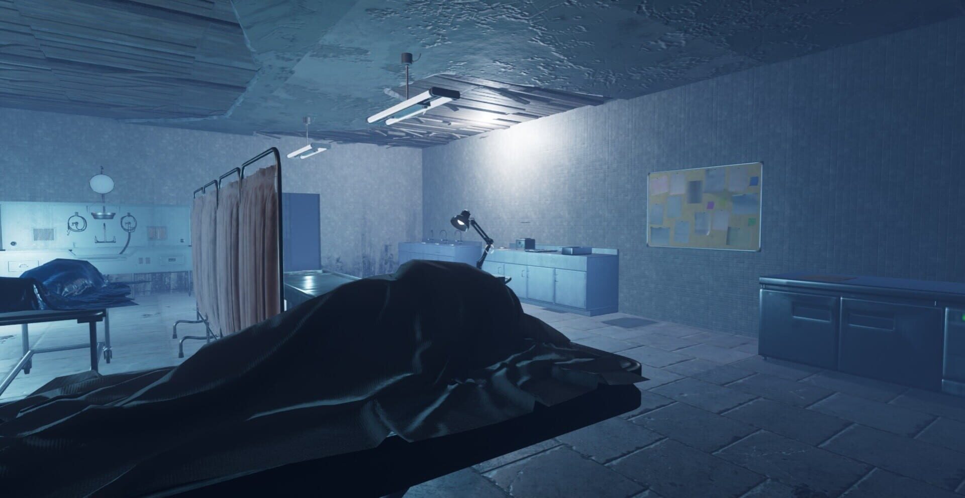 Psychiatric Hospital - Screenshot