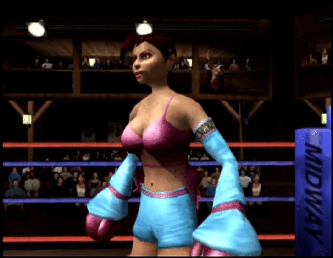 Ready 2 Rumble Boxing: Round 2 screenshot