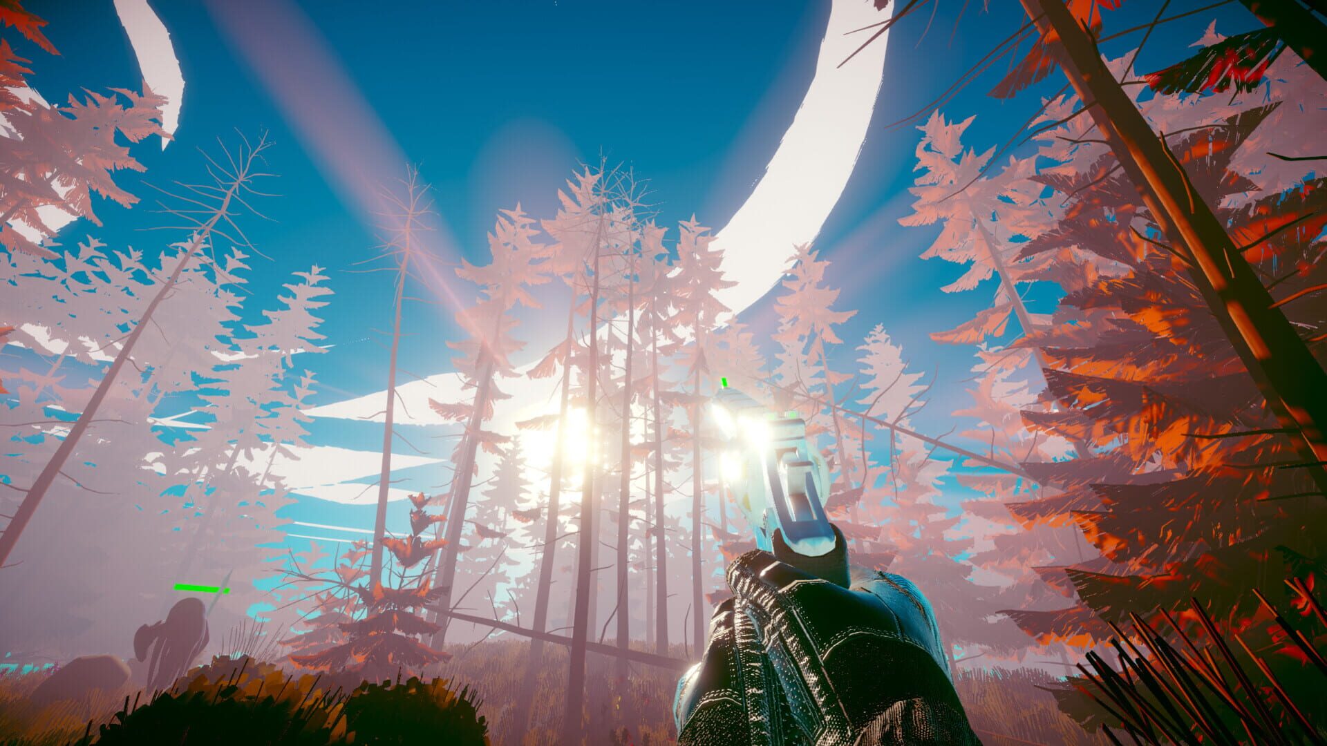Survival Shooter - Screenshot