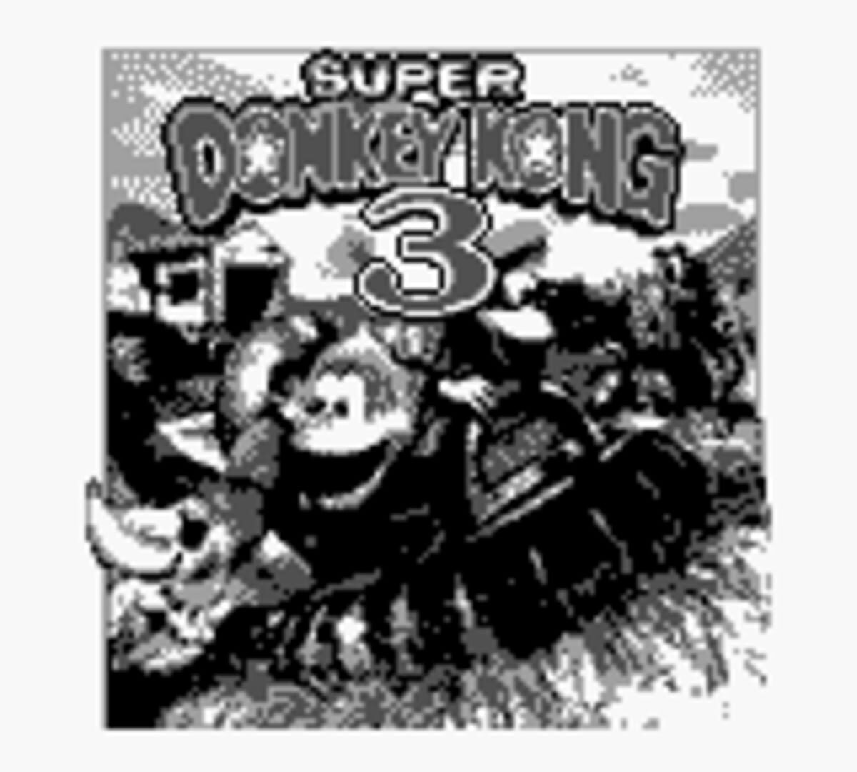 Super Donkey Kong 3