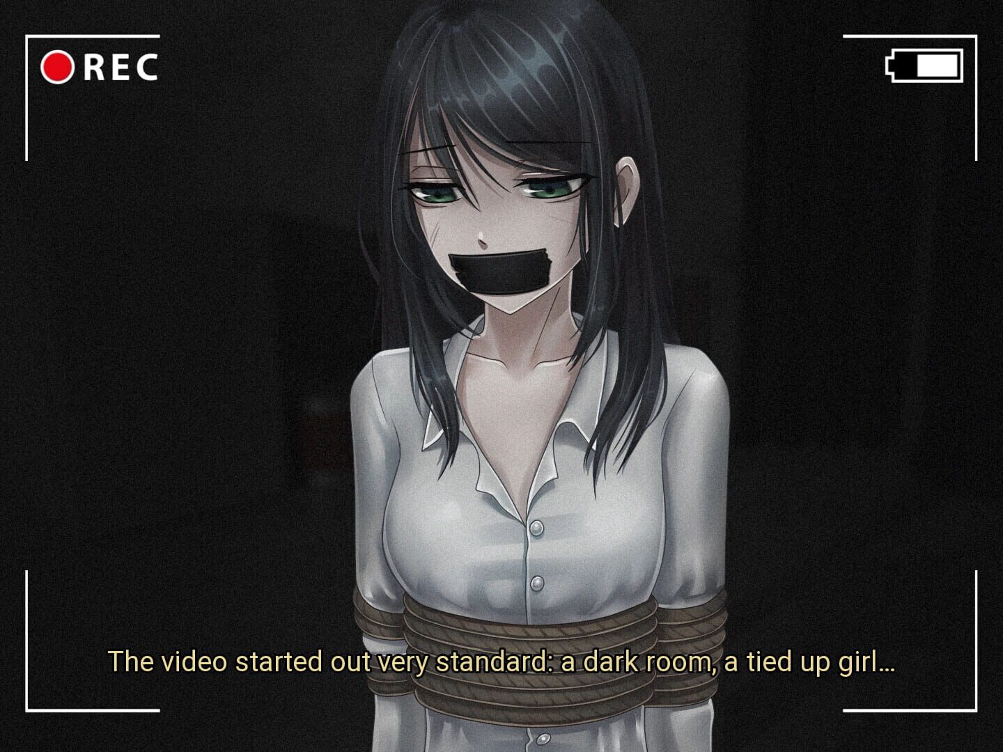 The Girl From the Snuff Video - Screenshot