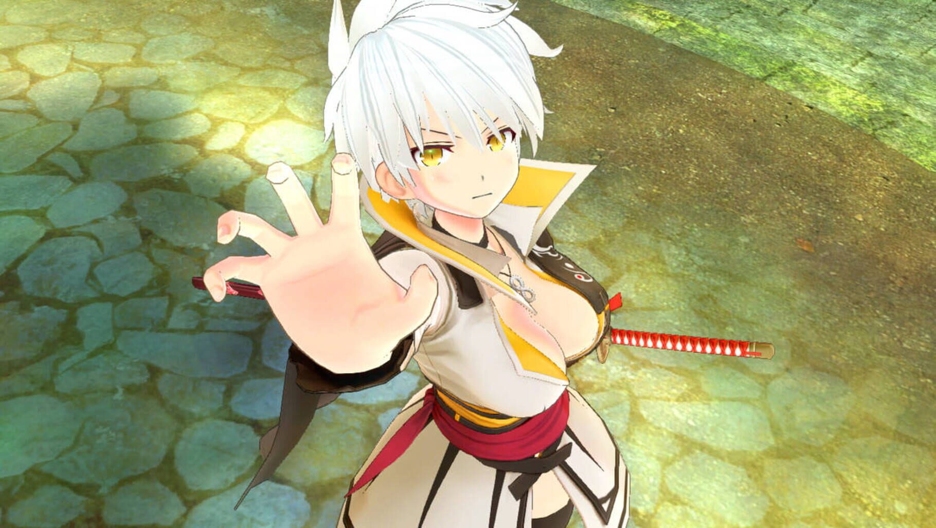 Captura de pantalla - Senran Kagura Burst Re:Newal - Miyabi Character and Campaign