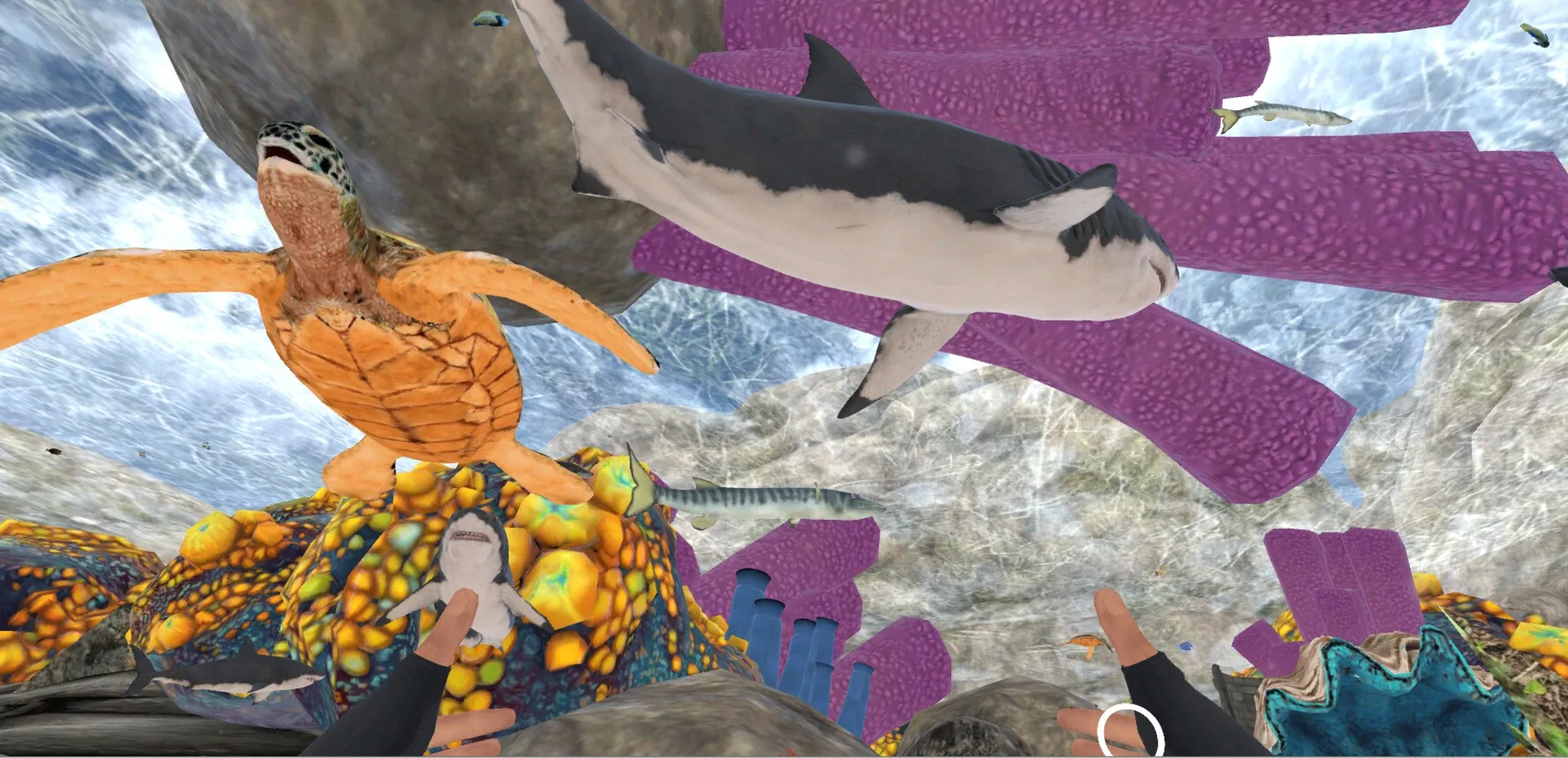Thumbnail 7