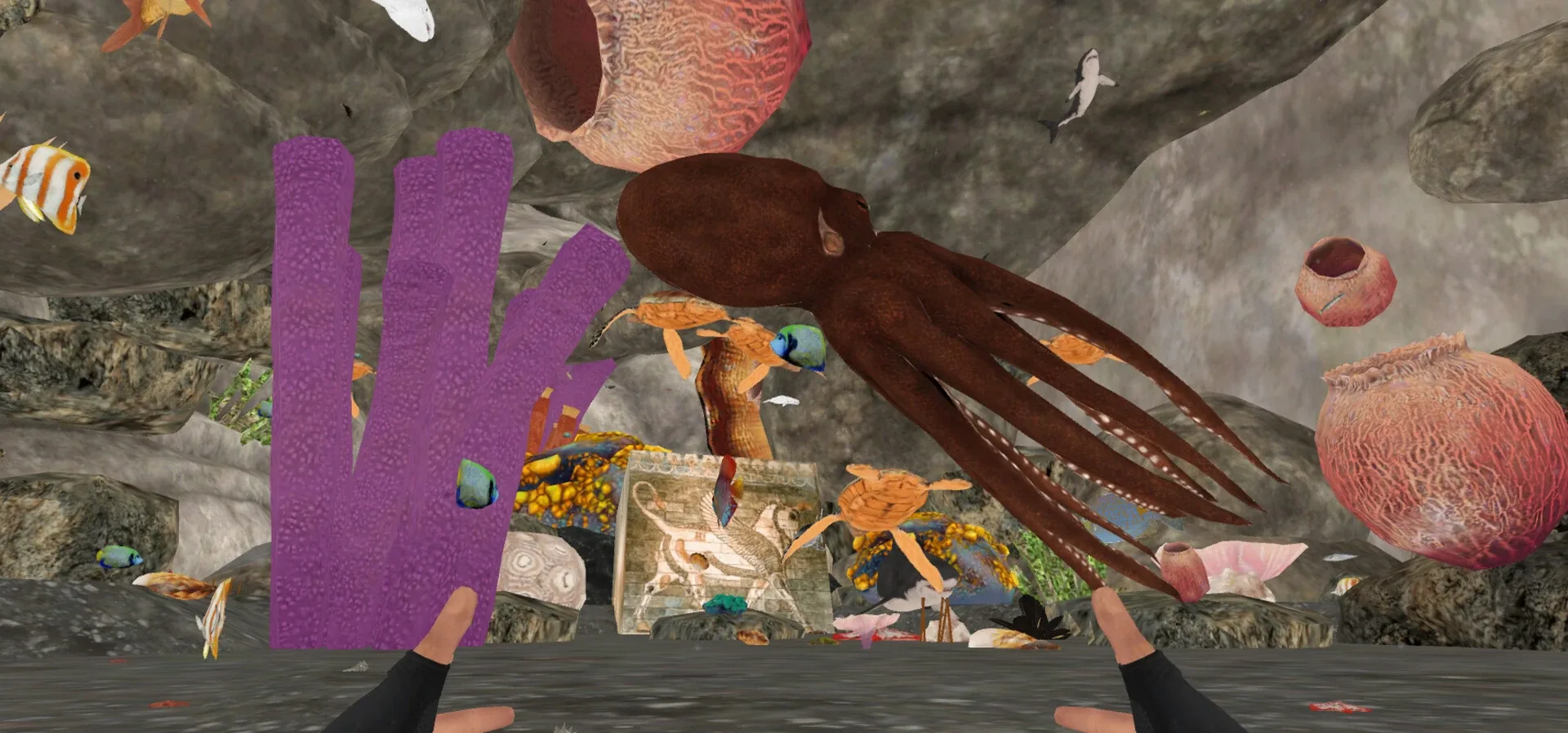 Thumbnail 11