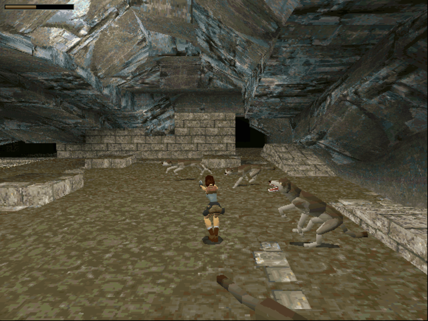 Tomb Raider: Collector's Edition screenshot