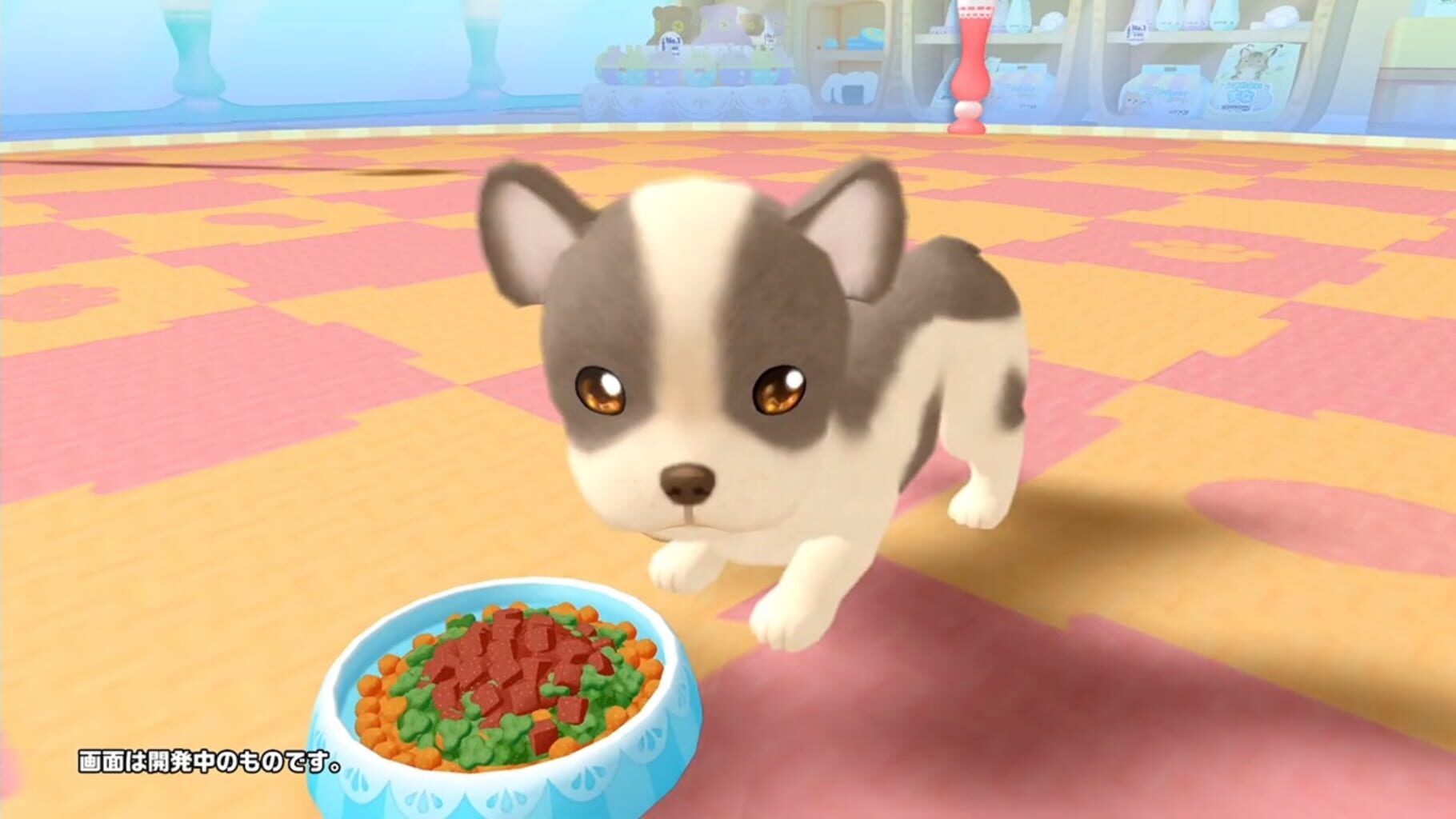 Pups & Purrs Pet Shop screenshot