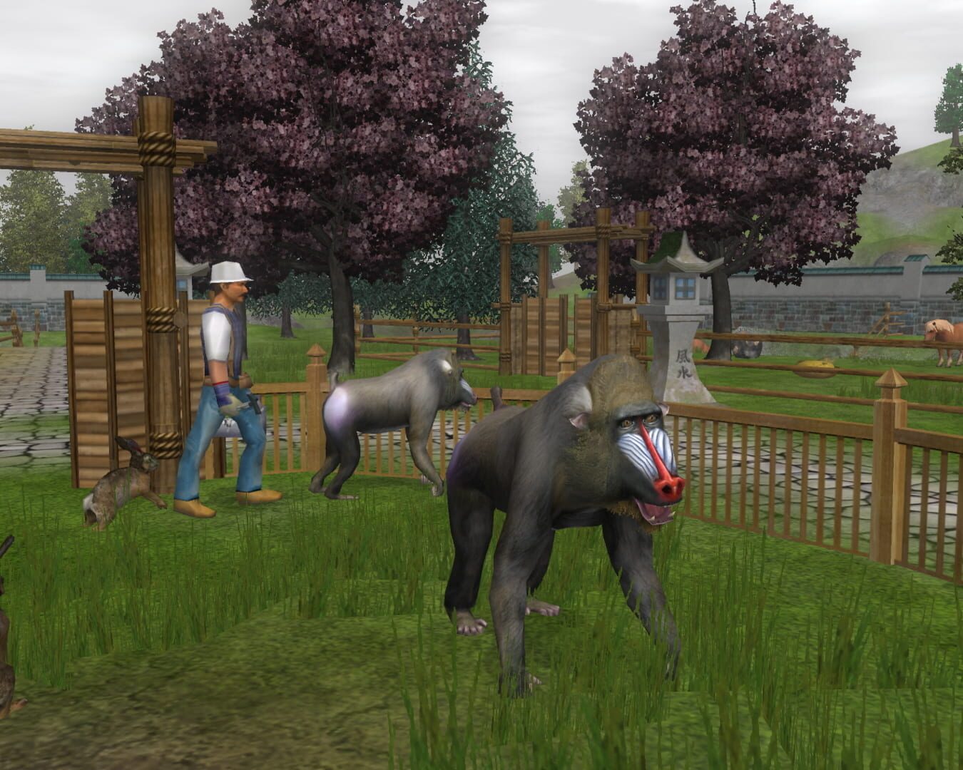 Captura de pantalla - Wildlife Park 2: Crazy Zoo