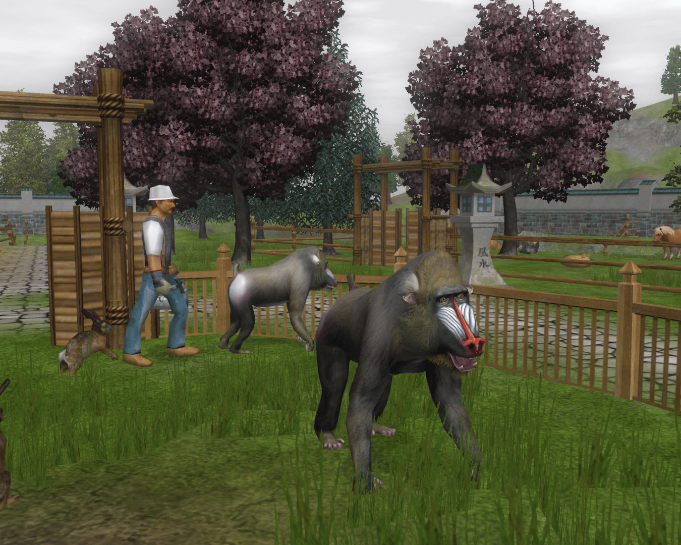 Wildlife Park 2: Crazy Zoo screenshot