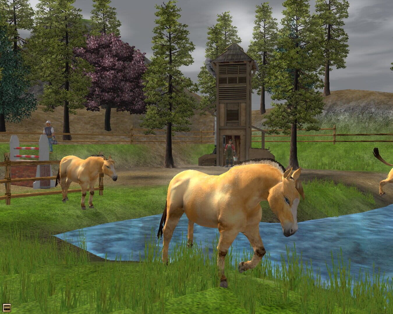 Captura de pantalla - Wildlife Park 2: Horses