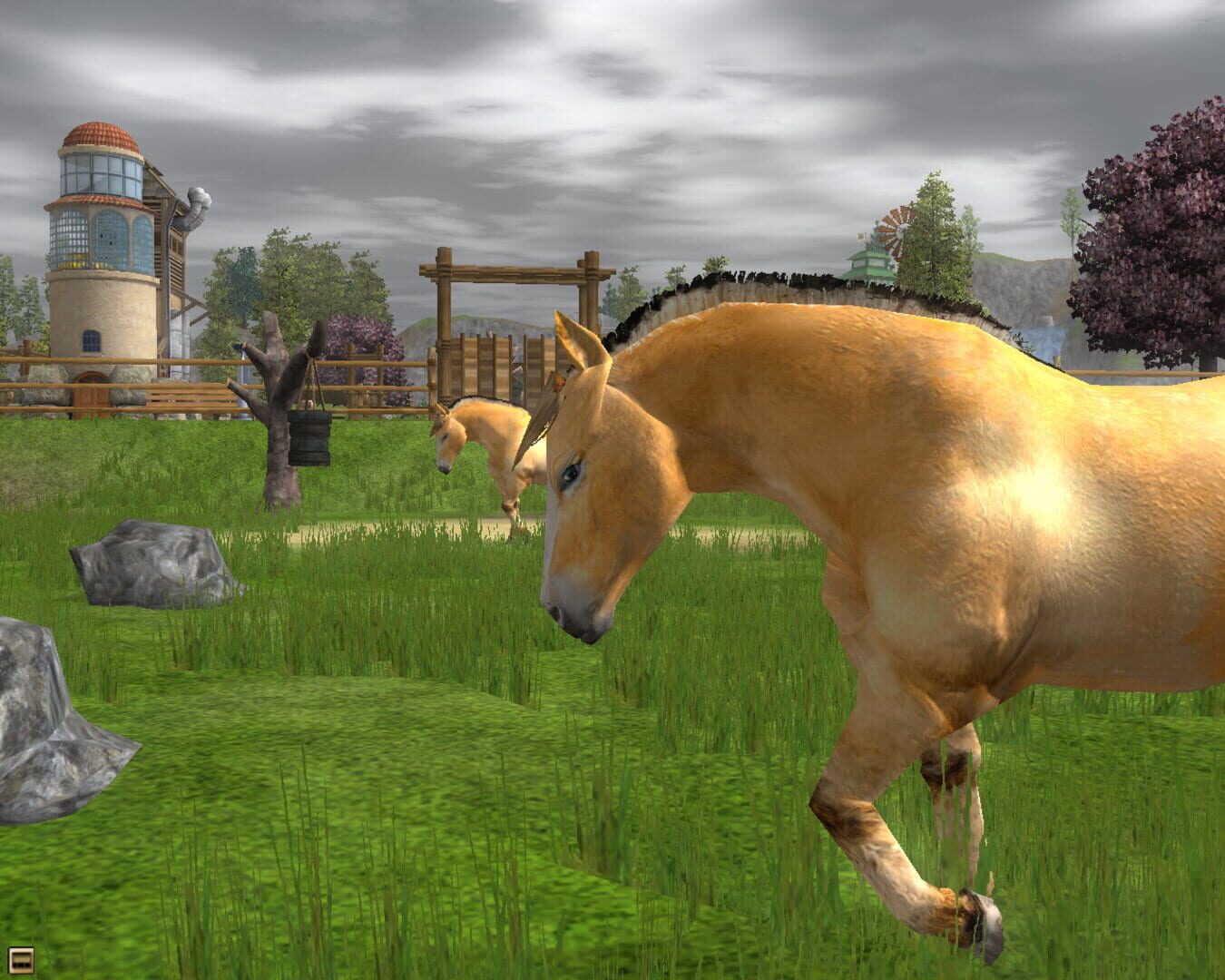 Captura de pantalla - Wildlife Park 2: Horses