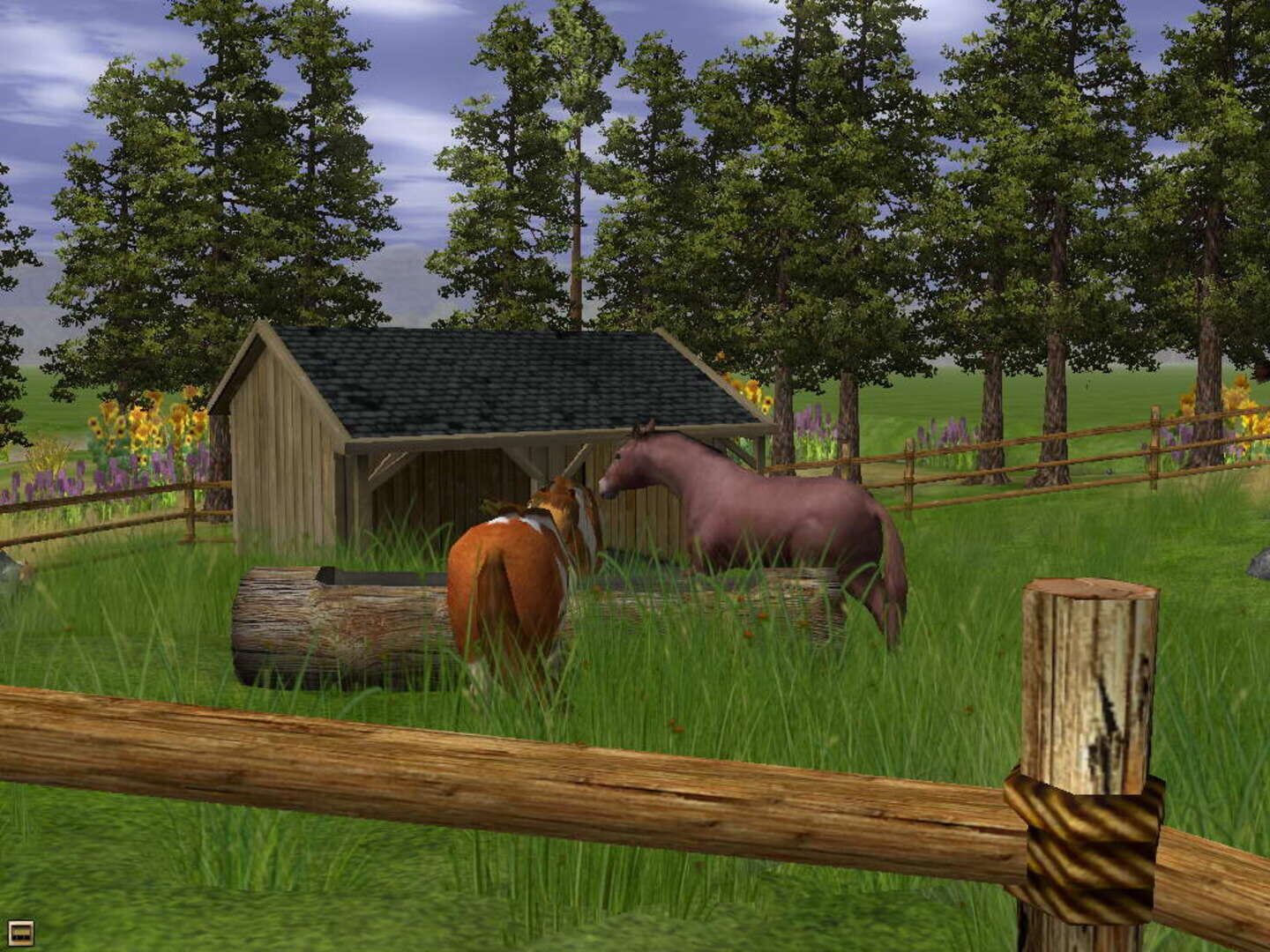 Captura de pantalla - Wildlife Park 2: Horses