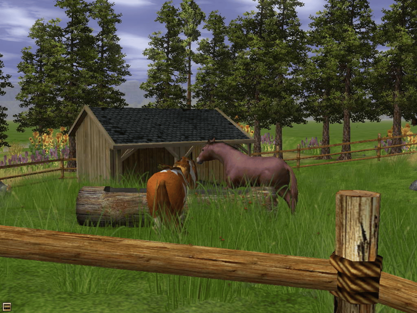 Wildlife Park 2: Horses screenshot