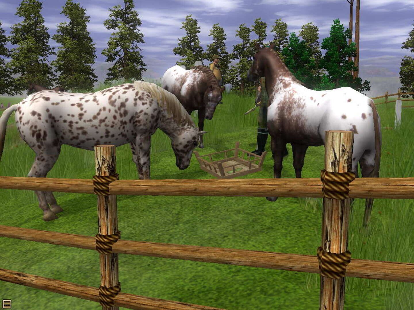 Captura de pantalla - Wildlife Park 2: Horses