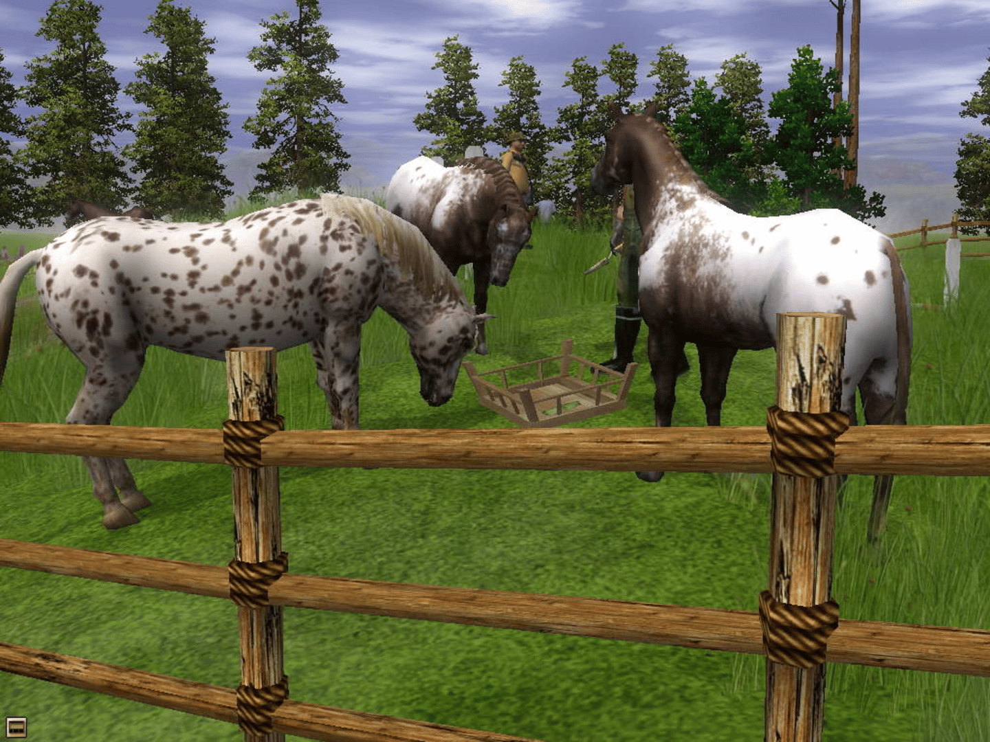 Wildlife Park 2: Horses screenshot