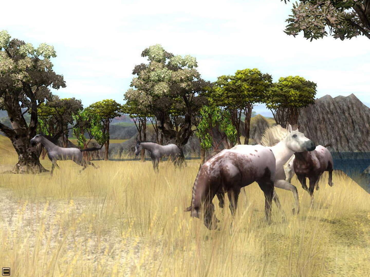 Captura de pantalla - Wildlife Park 2: Horses