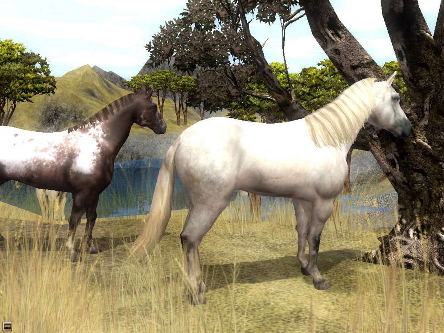 Captura de pantalla - Wildlife Park 2: Horses