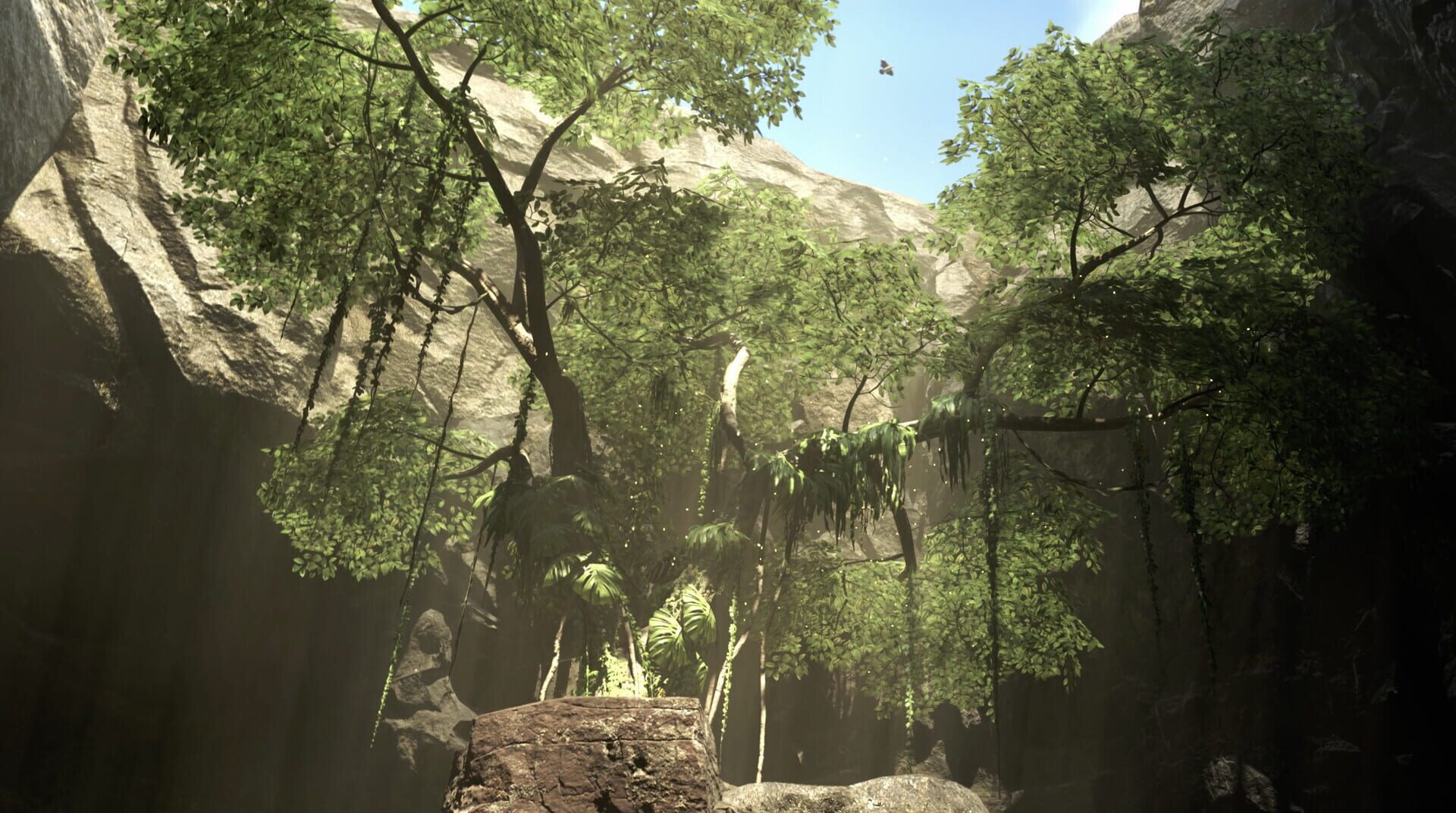 Project Hoyrá - Screenshot