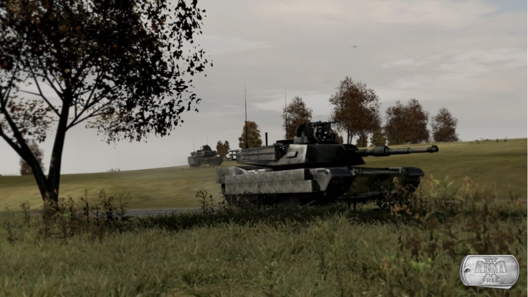 Captura de pantalla - Arma 2: Free