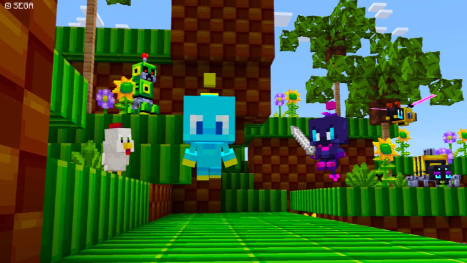 Captura de pantalla - Minecraft: Sonic Texture Pack