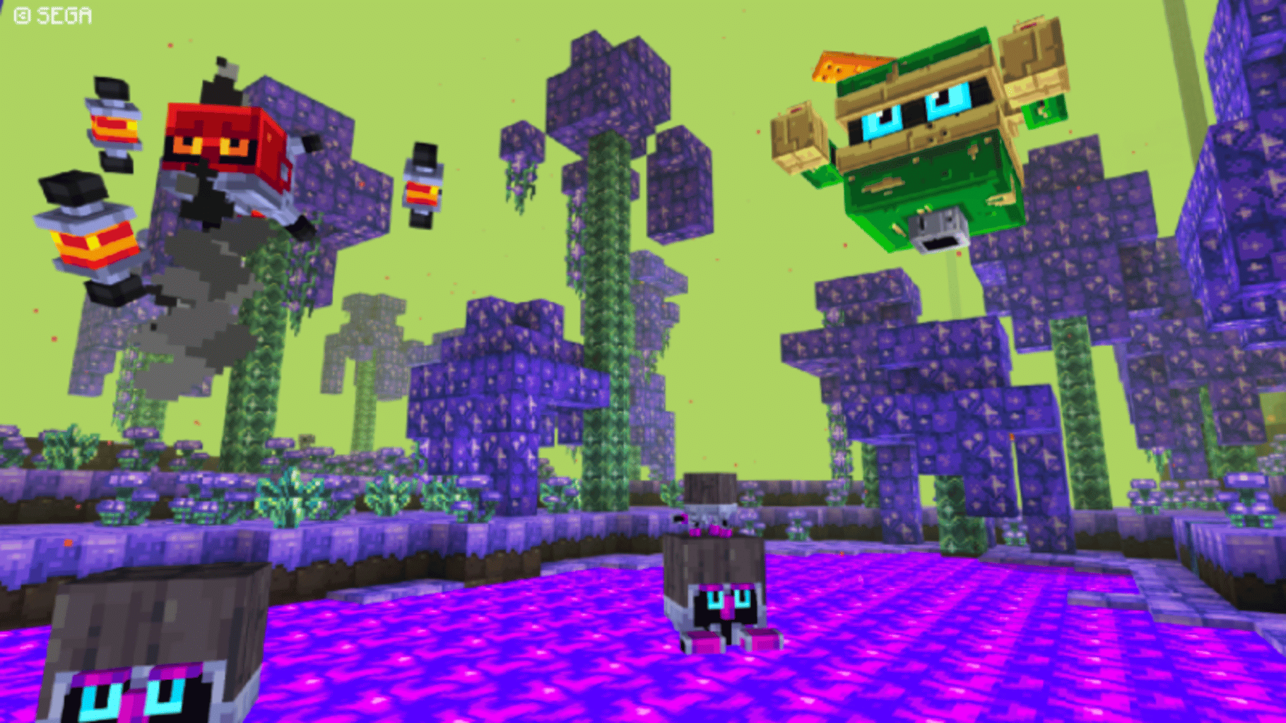 Minecraft: Sonic Texture Pack screenshot