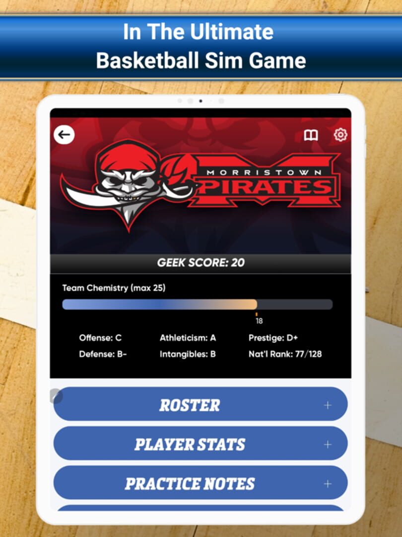 Basketball Simulator - Screenshot