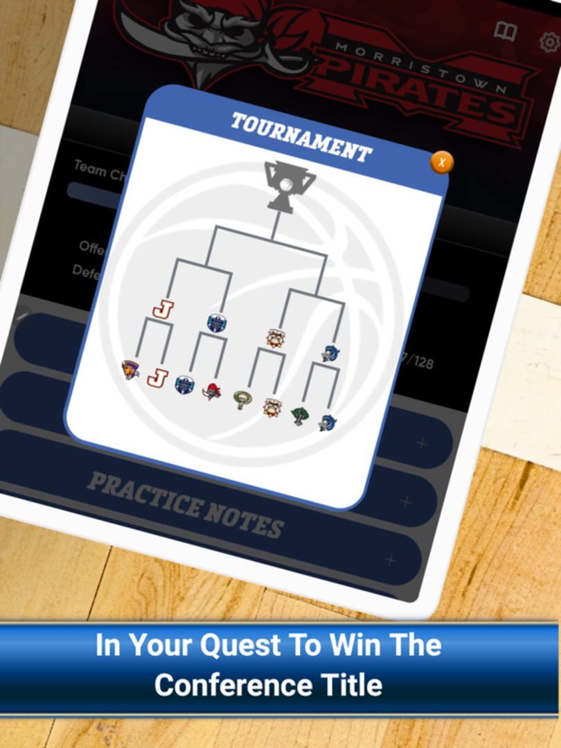 Basketball Simulator - Screenshot