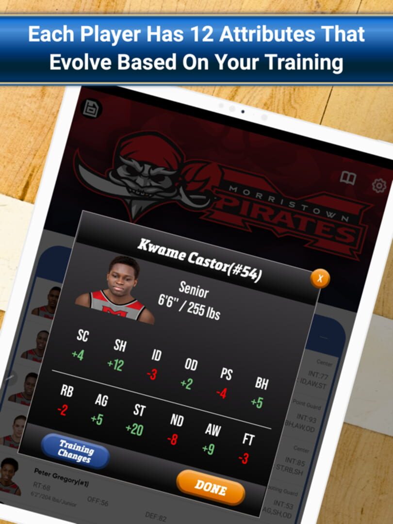 Basketball Simulator - Screenshot