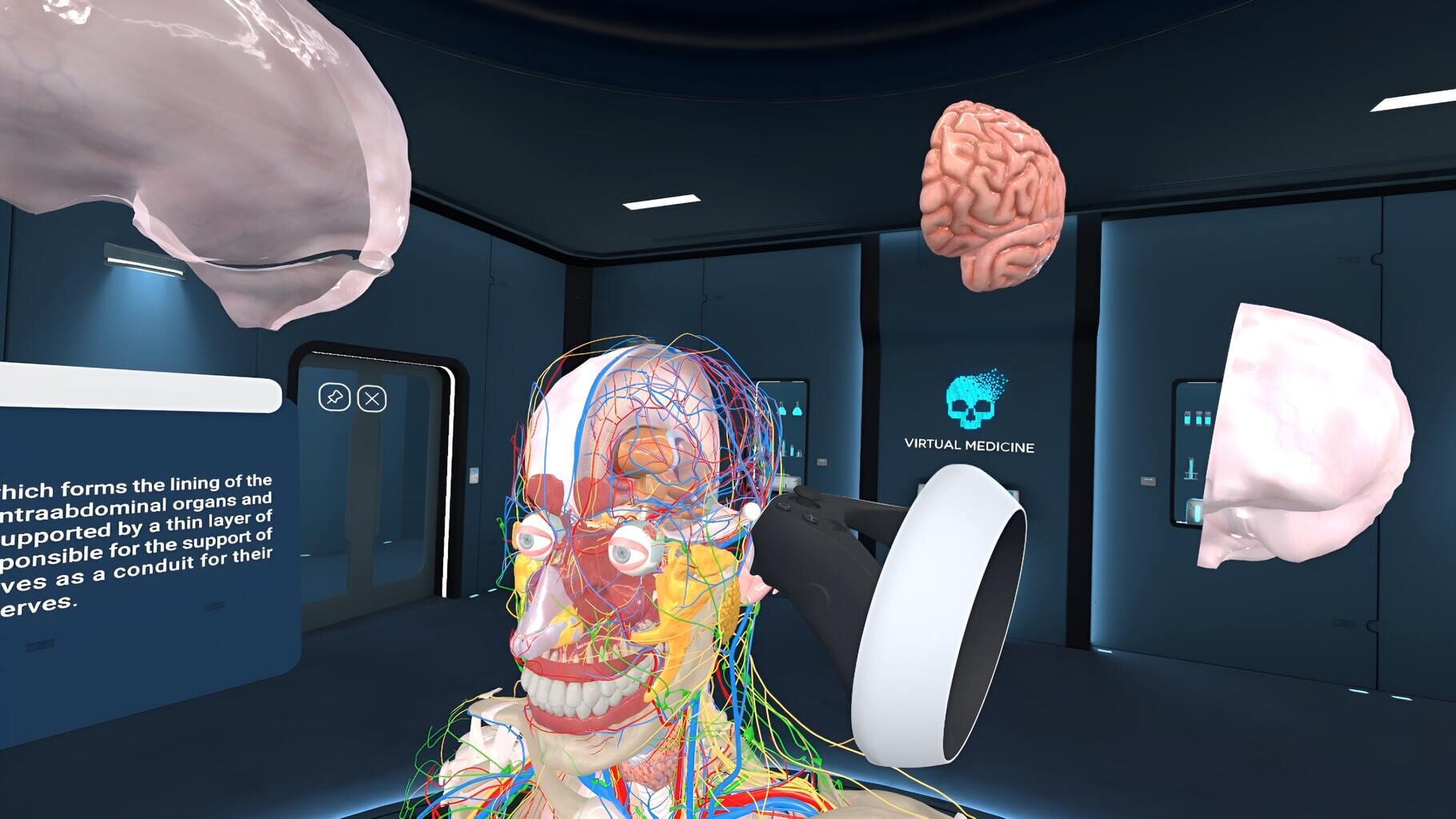 Captura de pantalla - Human Anatomy VR