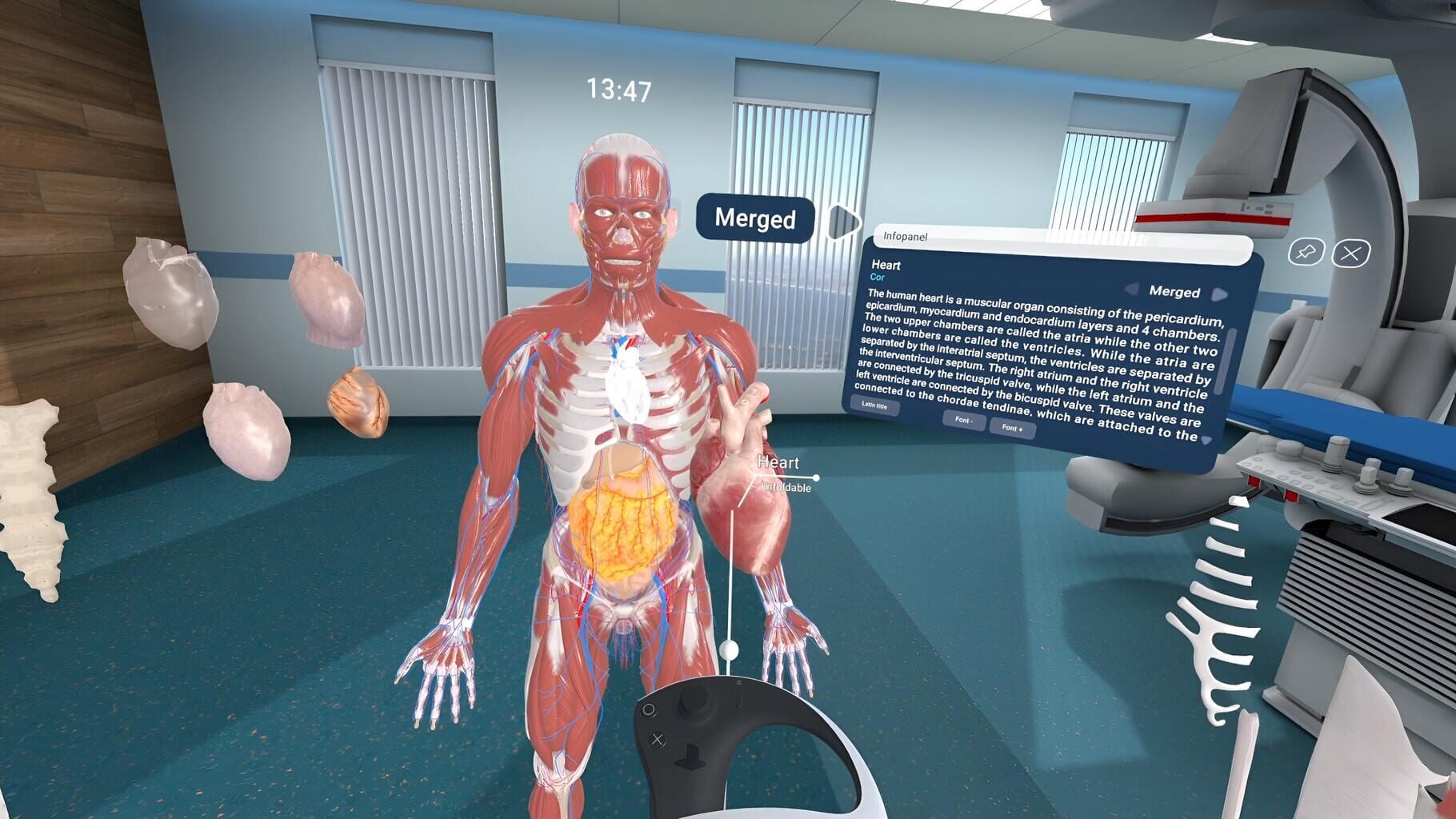Captura de pantalla - Human Anatomy VR