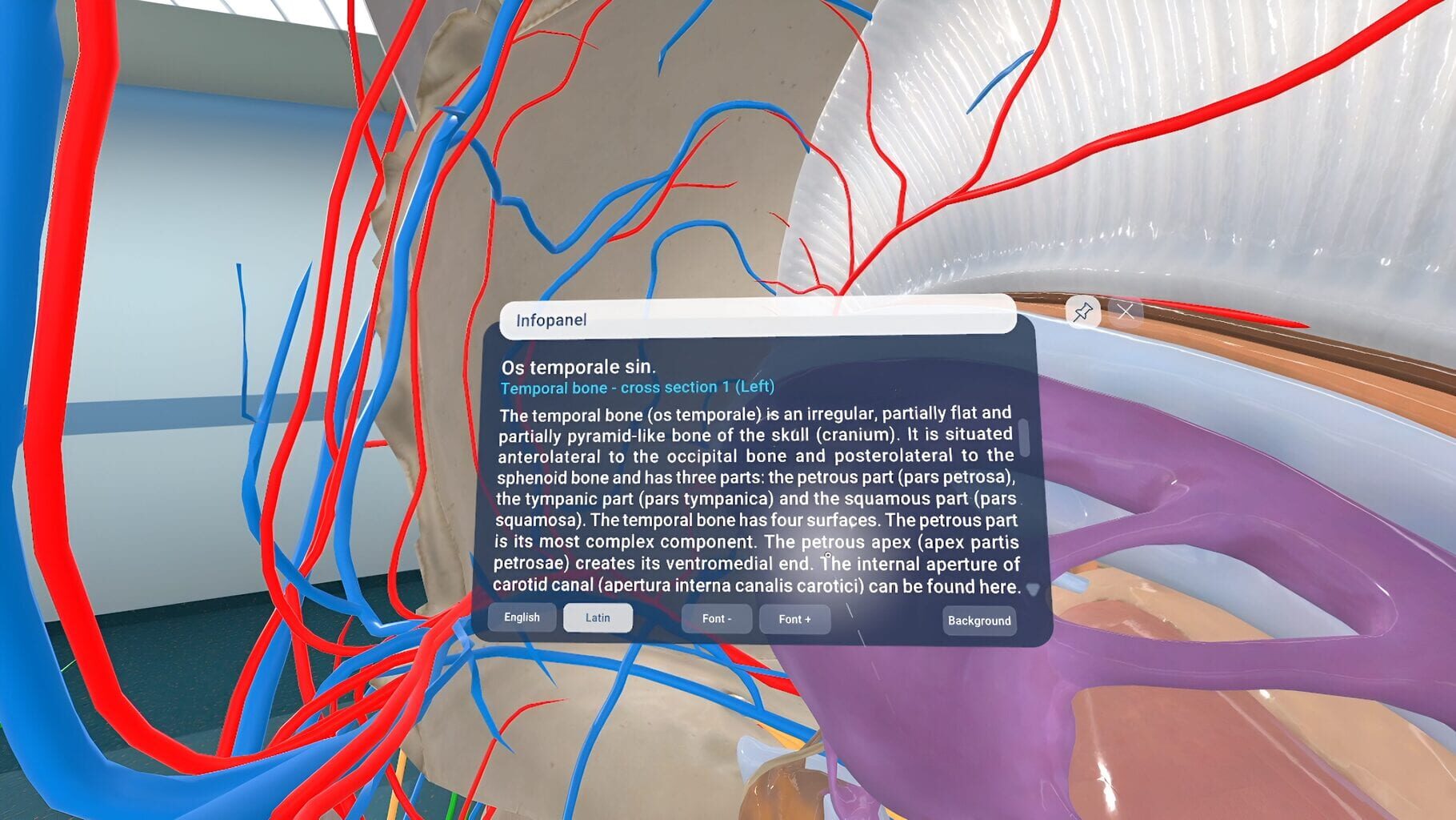 Captura de pantalla - Human Anatomy VR