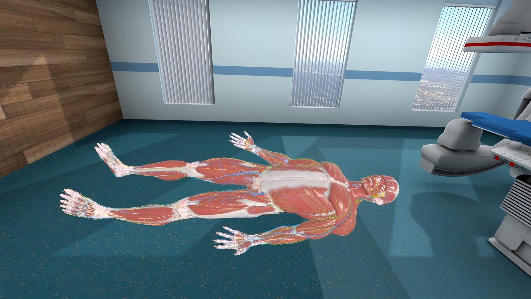 Captura de pantalla - Human Anatomy VR