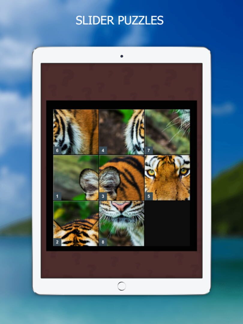 Sharper Minds: Brain Games - Screenshot