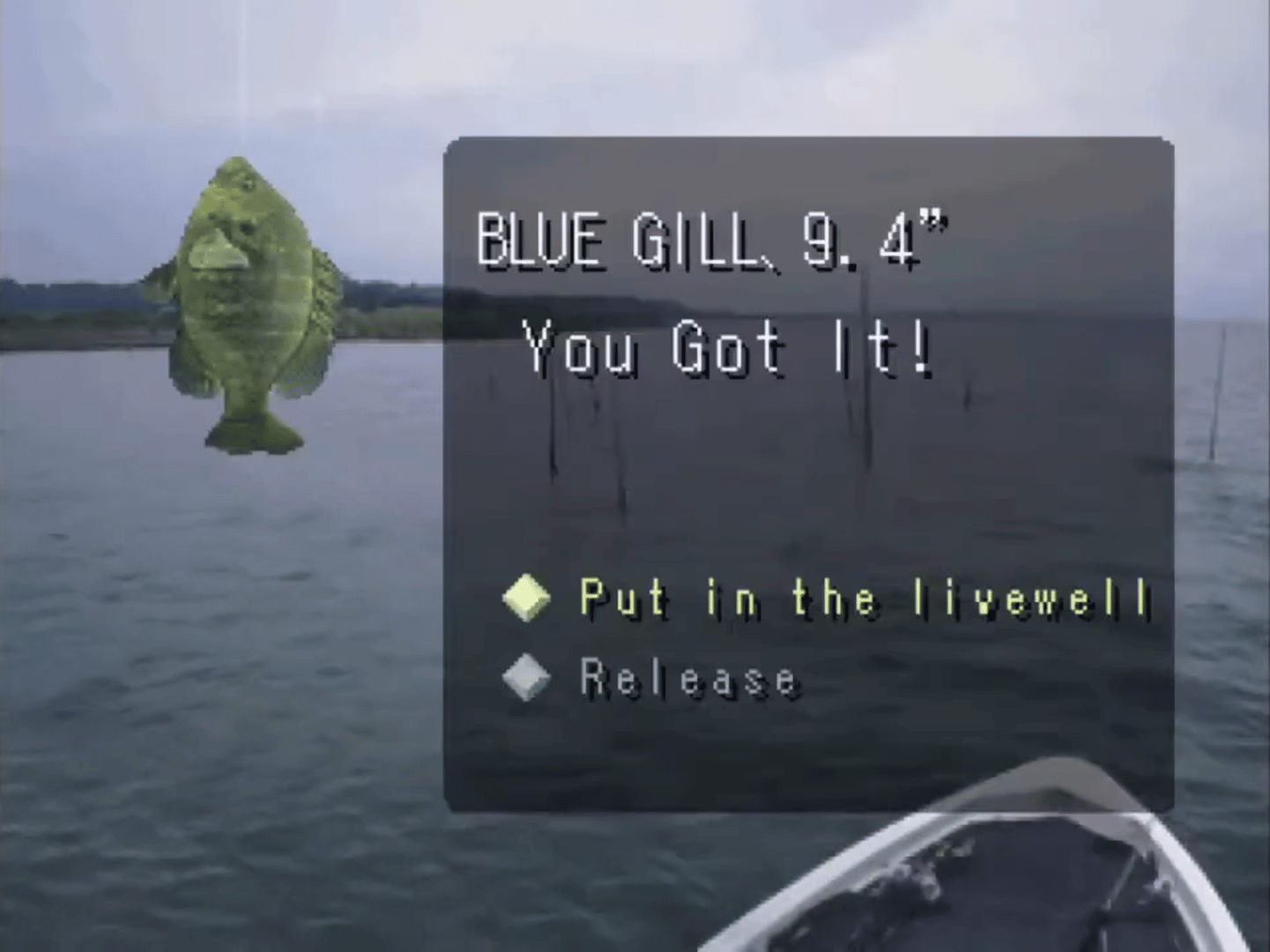 Reel Fishing screenshot