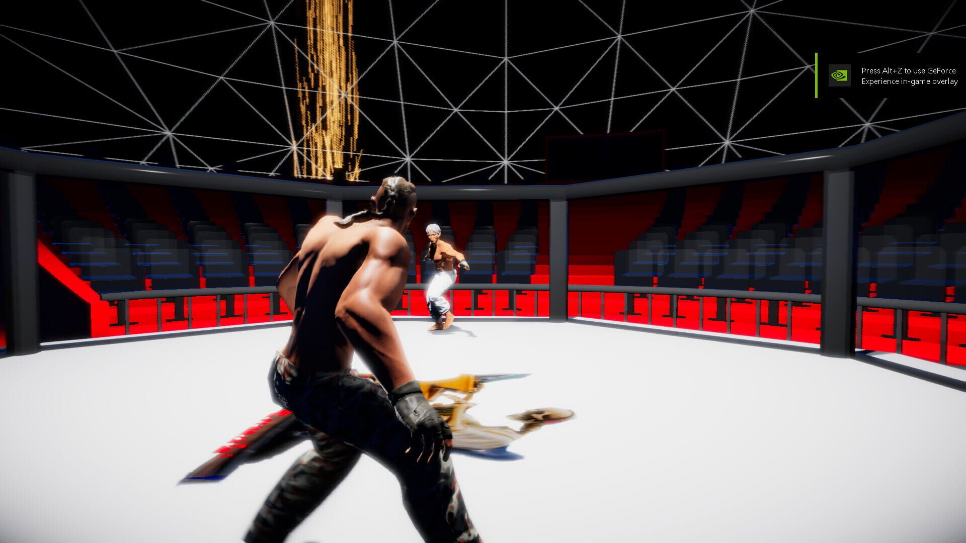 TheFighters: NewBlood - Screenshot