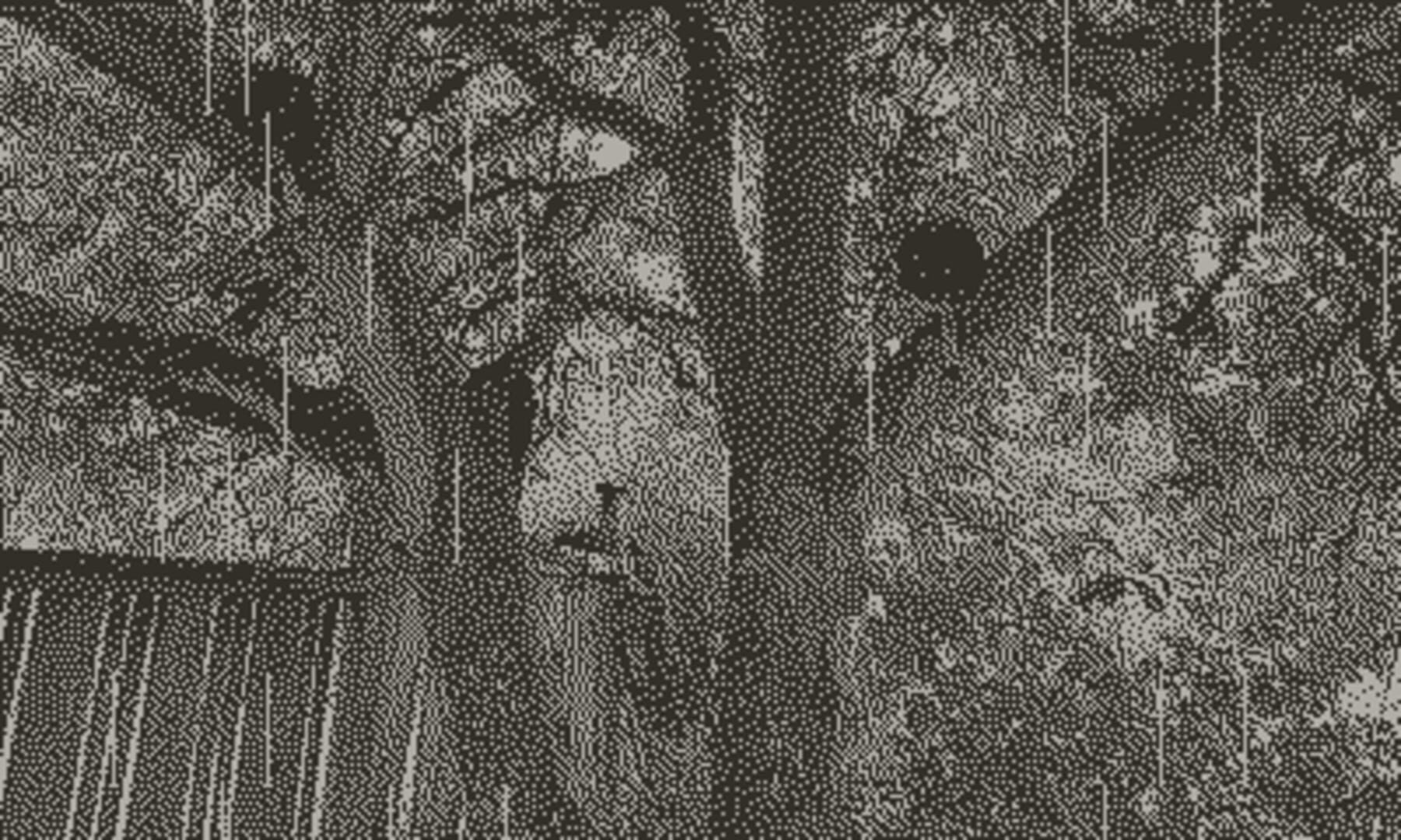 Backyard Rain Soundscape - Screenshot