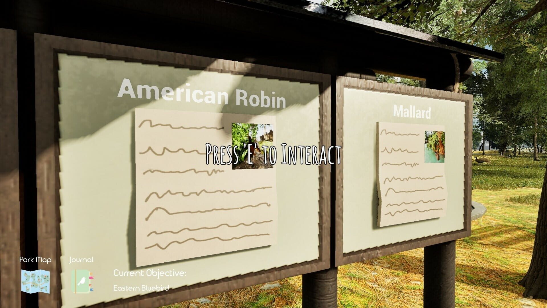 Bird Watch: Central Park - Screenshot