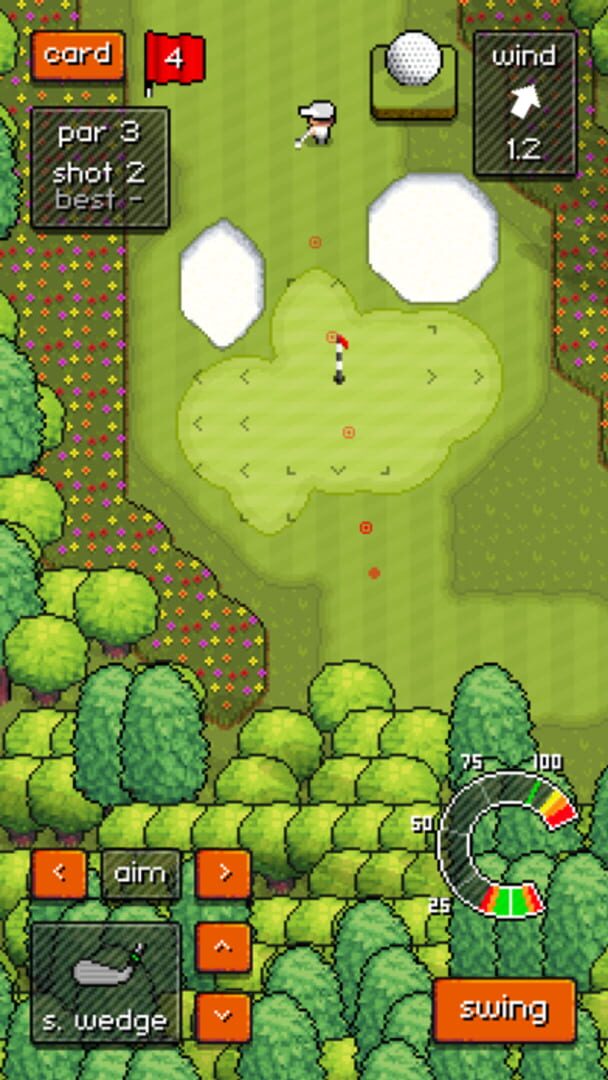 Pixel Pro Golf - Screenshot