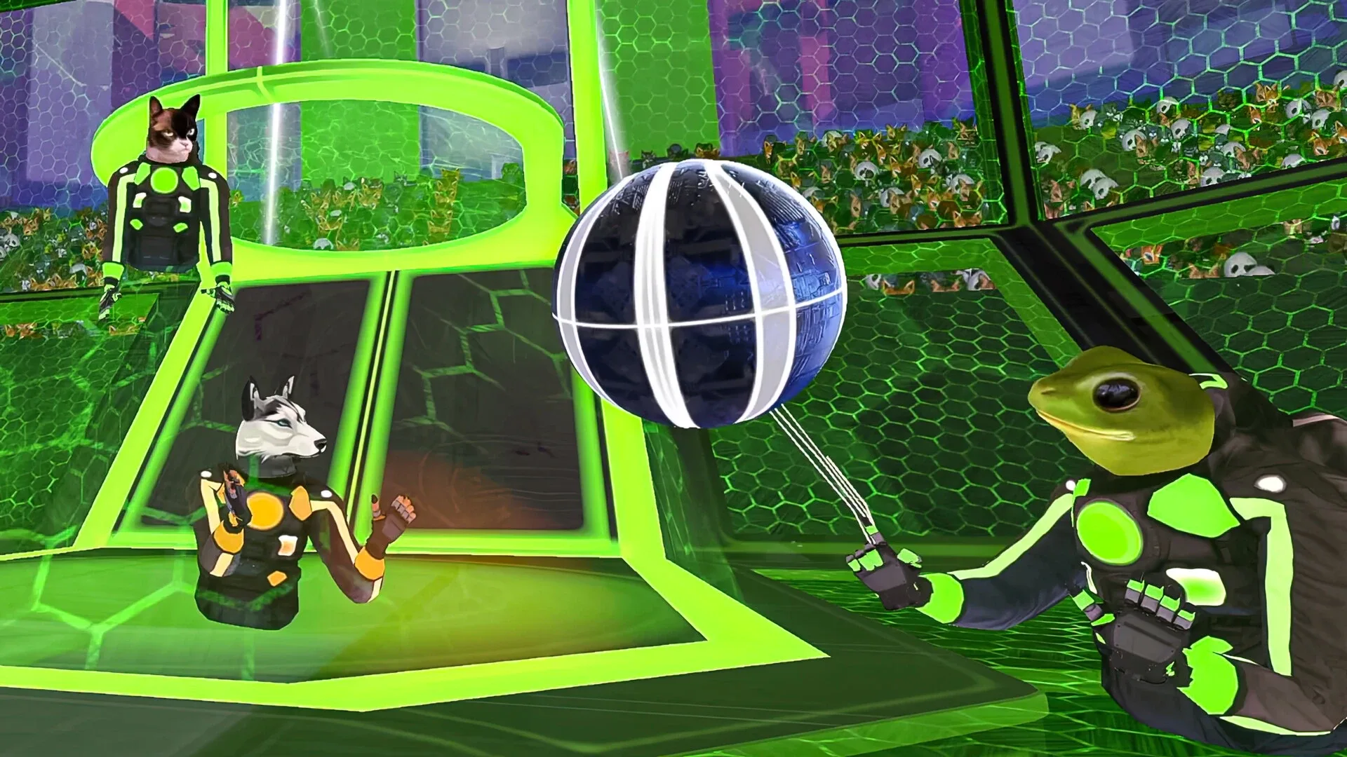 Thumbnail 5