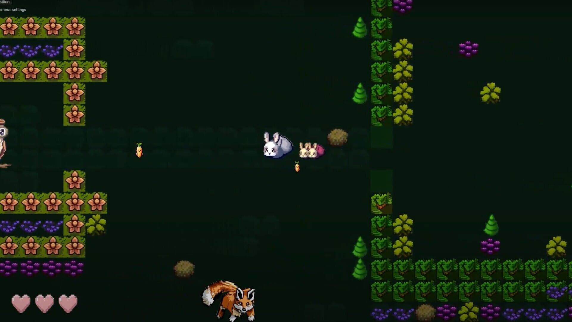 Pippin's Mysterious Garden - Screenshot