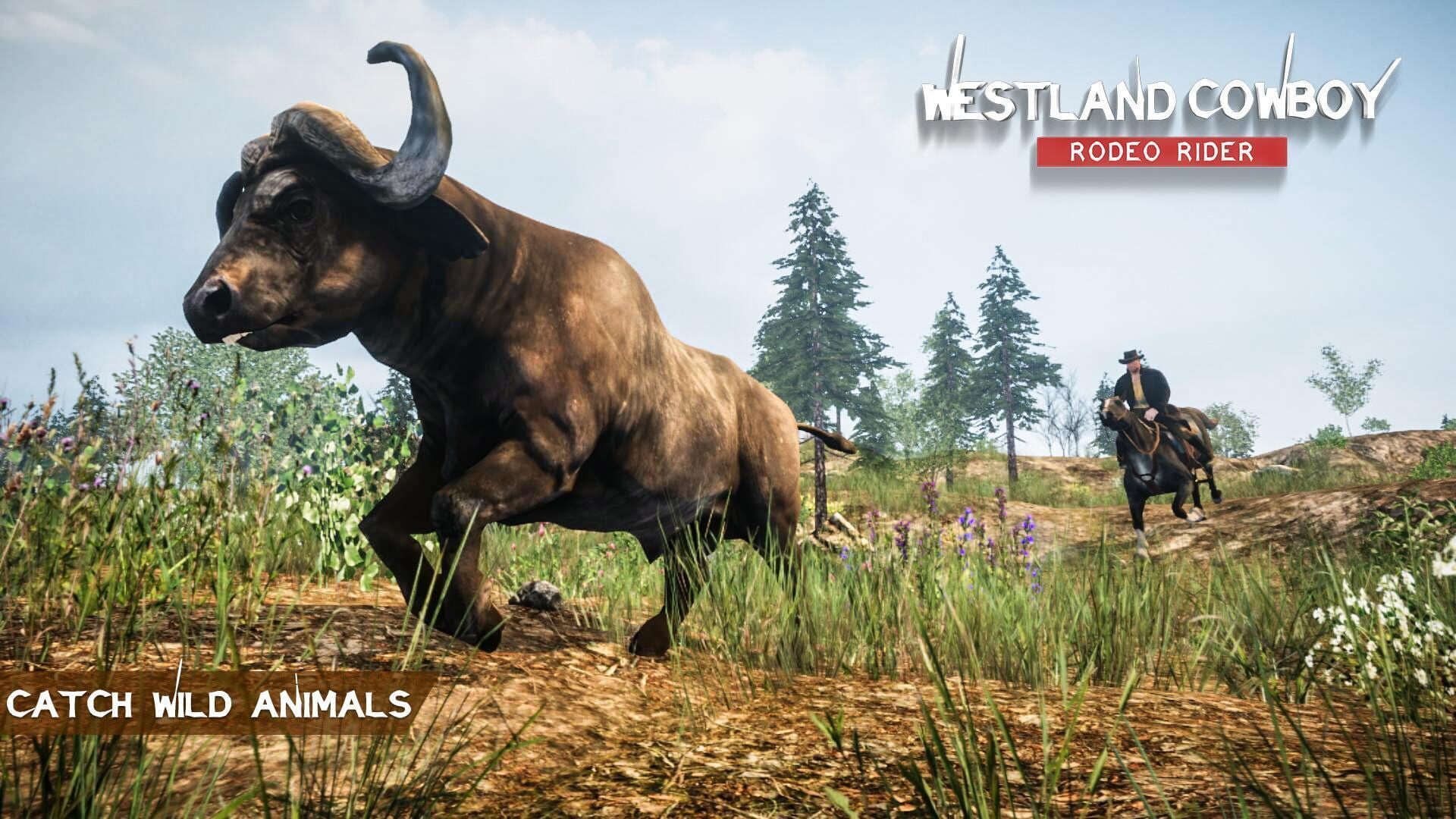 Westland Cowboy: Rodeo Rider - Screenshot